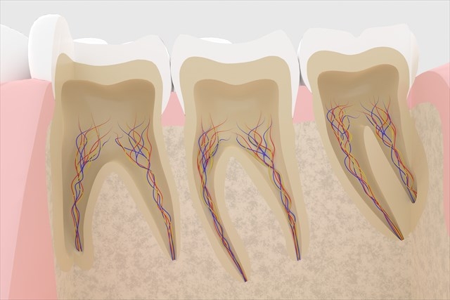 親知らず抜歯後のしびれ(下歯槽神経麻痺・オトガイ神経麻痺)の原因と対策